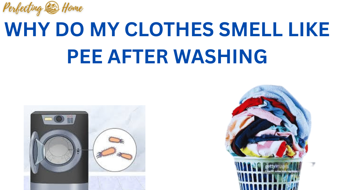Why Do My Clothes Smell Like Pee After Washing